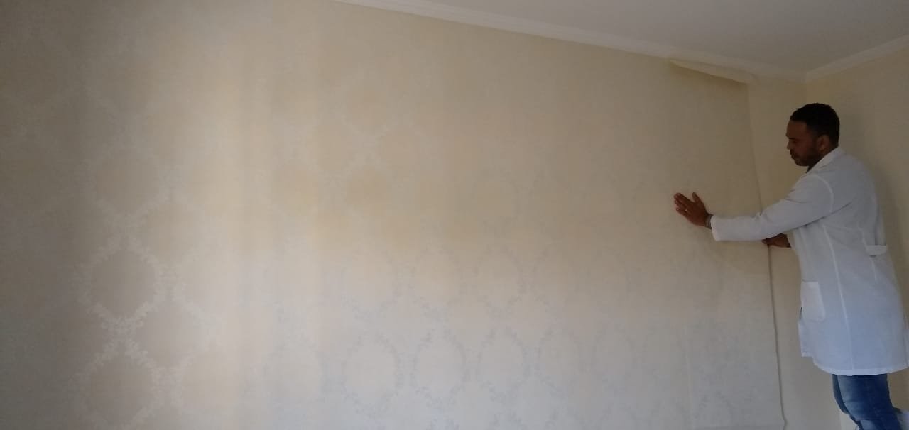 Wallpaper Installer Training